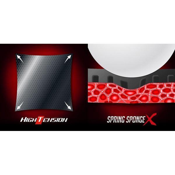 日本製 卓球ラケット用ラバー バタフライ Butterfly 裏ラバー Dignics 05 ディグニクス 05 レッド Ta 特厚 偉大な Homeofmalones Com