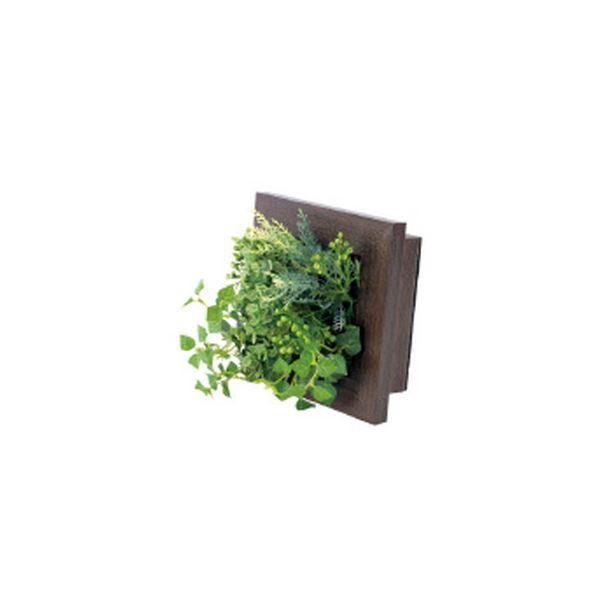 ベストセラー (まとめ)キシマ KH61035(×10) 消臭グリーン 観葉植物