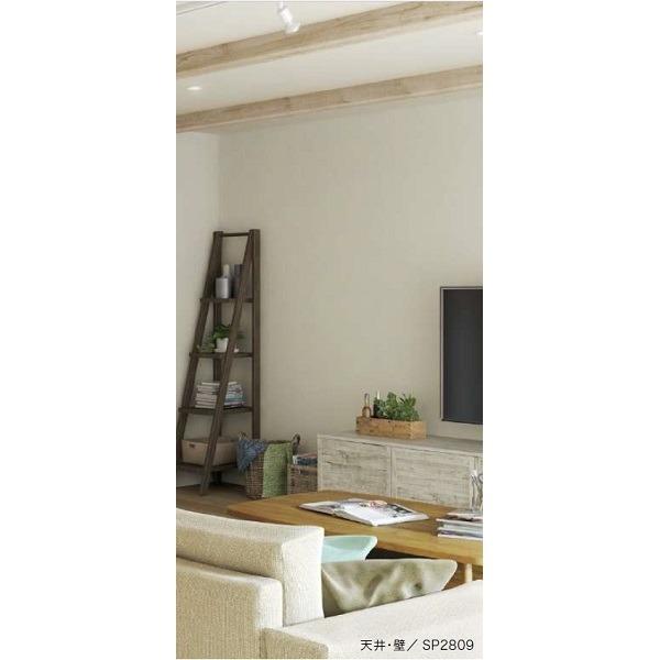 驚きの値段 のり無し壁紙 サンゲツ 30m巻 92cm巾 無地 Sp2809 壁紙 北海道一部 沖縄 離島は 送料無料対象外 ご注文確定後に送料修正となります Binghamtonhots Com