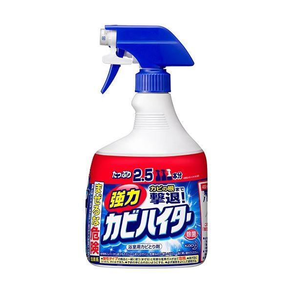 お風呂掃除 | (まとめ)花王 強力カビハイター 特大 本体1000ml 1個(×10)