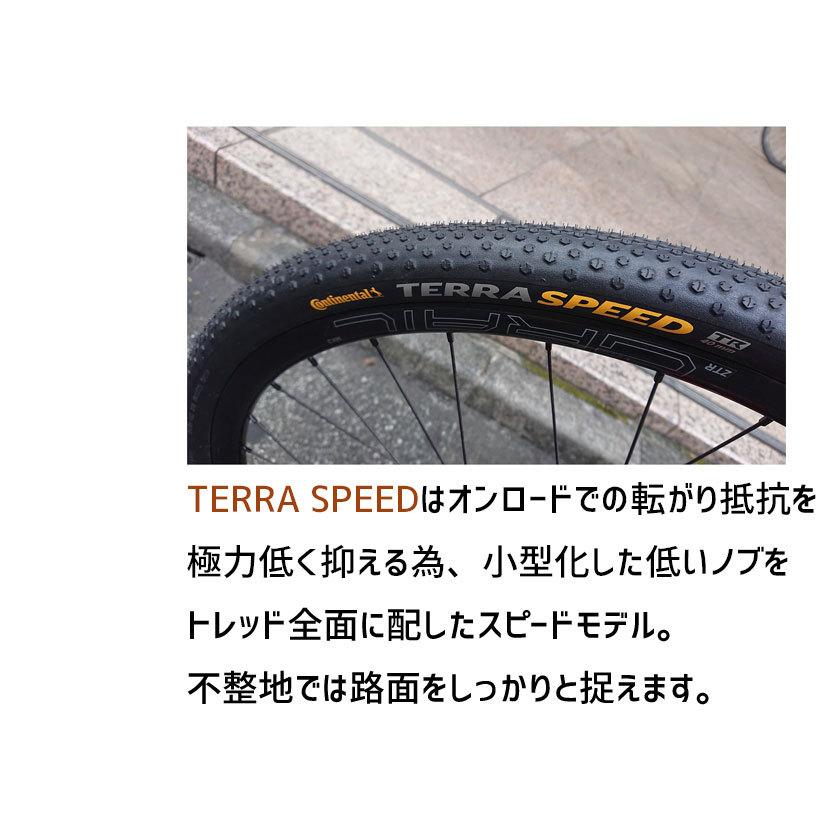 2本セット Continental タイヤ Terra Speed ProTection テラスピード