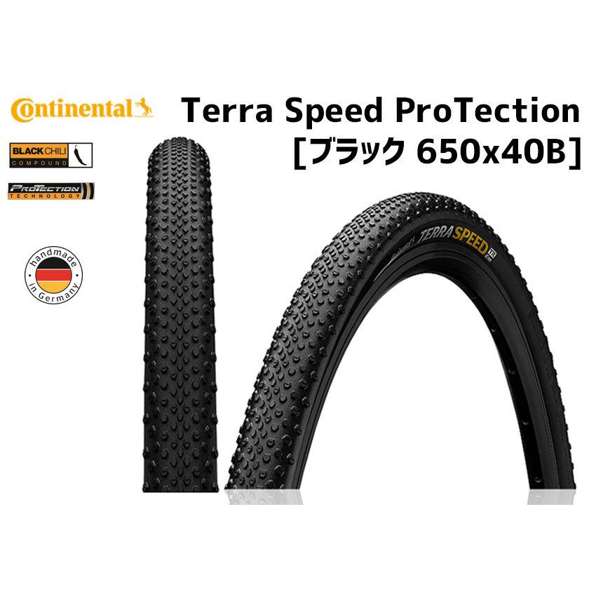 2本セット Continental タイヤ Terra Speed ProTection テラスピード