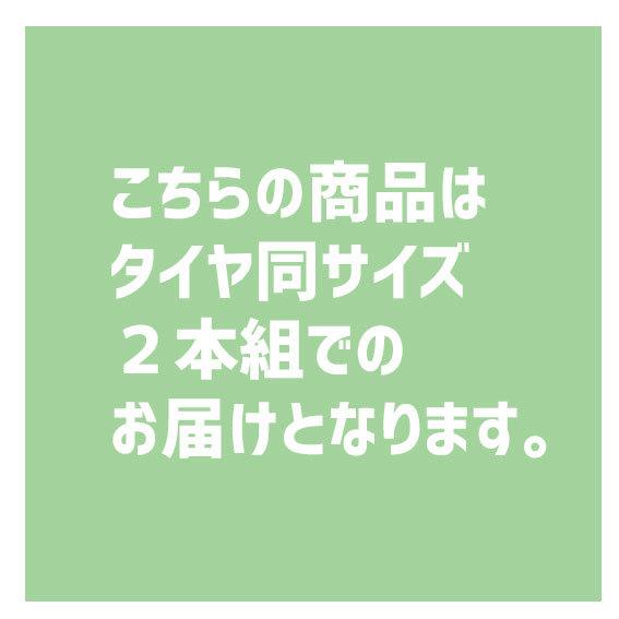 Panaracer（パナレーサー） 2本セット AGILEST LIGHT アジリスト
