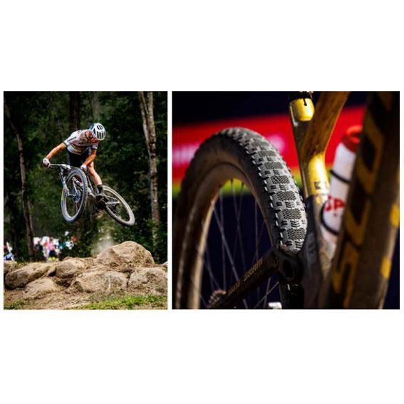 MAXXIS マキシス Aspen ST アスペン 29x 2.25/29 x 2.40 タイヤ 数量