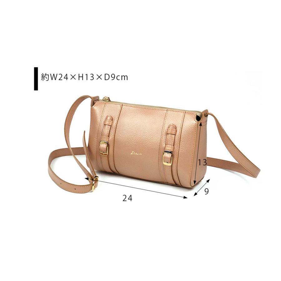 ダコタ 美品 キューブ ショルダーバッグ ミニ 馬蹄モチーフ レザー ブラウン Dakota（ダコタ） 限定 パール加工 ミニショルダーバッグ 馬蹄 レトロ