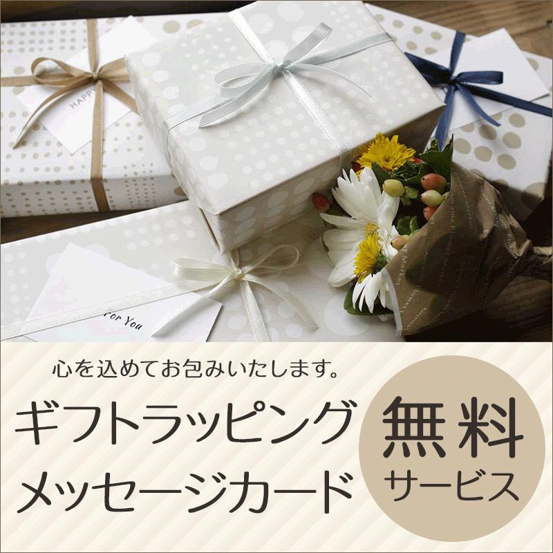 バッグインバッグ インナーバッグ ドット柄 Lサイズ Basara Tyo バサラ インサイド 代引き不可 かばんと財布の店アリスタ 通販 Yahoo ショッピング