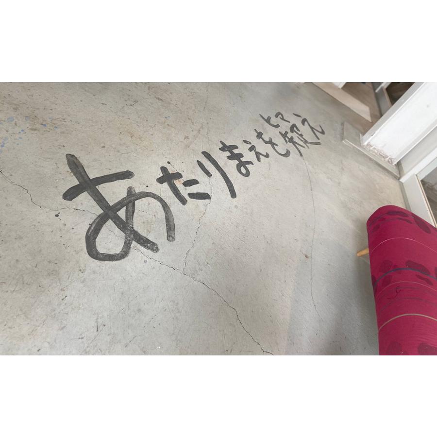 tamaki niime レギンス あしんすごい 厚手 コットン 可愛い お洒落