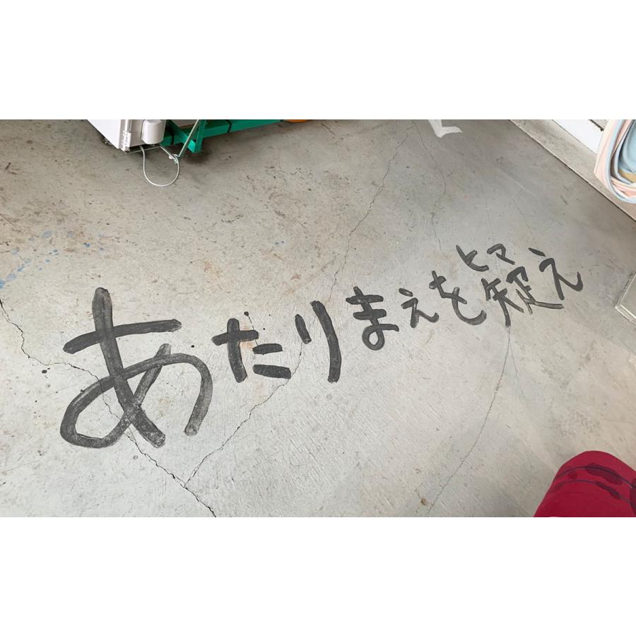 tamaki niime Tシャツ 播州織 コットン suton-T SHORT 全て一点もの