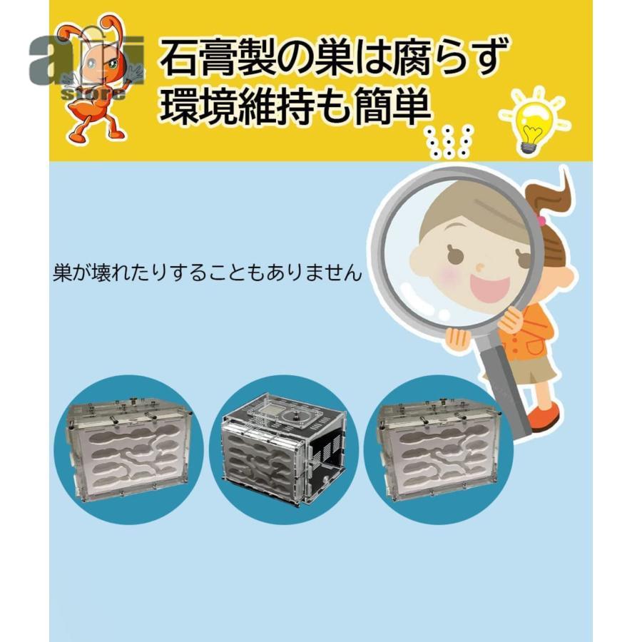 アリ飼育キット 石膏製巣箱 透明アクリル製ケース アリの巣観察 アリ飼育キット 石膏製巣箱 透明アクリル製ケース アリの巣観察