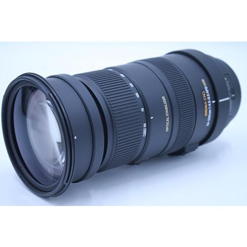 シグマ(Sigma) SIGMA 超望遠ズームレンズ APO 50-500mm F4.5-6.3 シグマ(Sigma) SIGMA 超望遠ズームレンズ APO 50-500mm F4.5-6.3