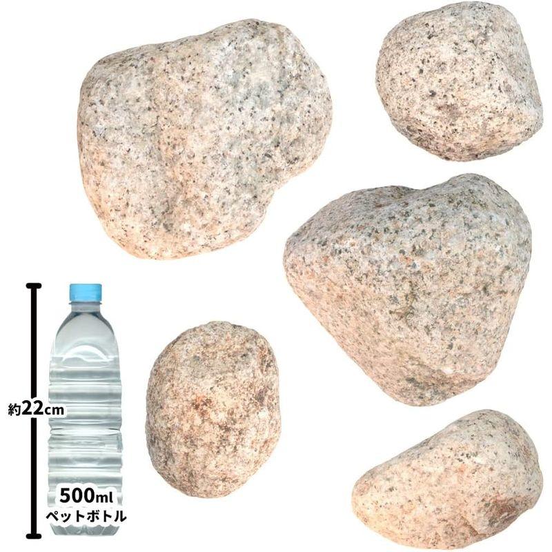 伊勢五郎太　5-6寸(約150-180mm)　18kg×10箱　(180kg)