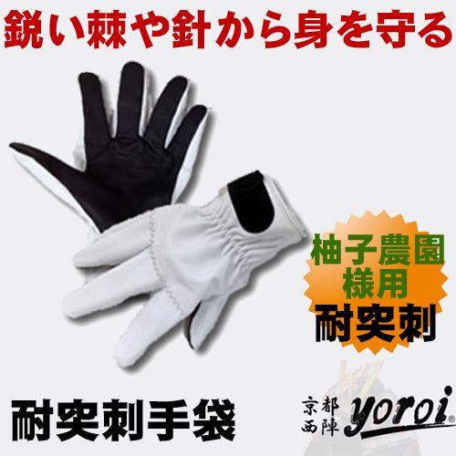 MU1D976E5VX