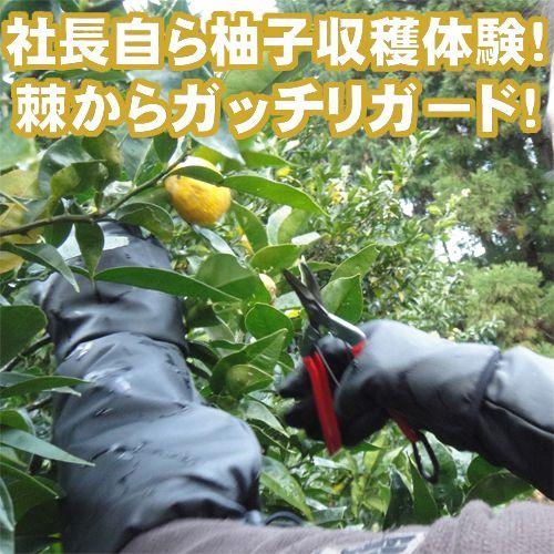 柚子農園様用  耐突刺タイプ手袋 防刃手袋 作業用手袋 防刃グローブ サクセスプランニング  京都西陣yoroi GABA-SPシリーズ 耐突刺手袋  (SP-5FY3)の画像