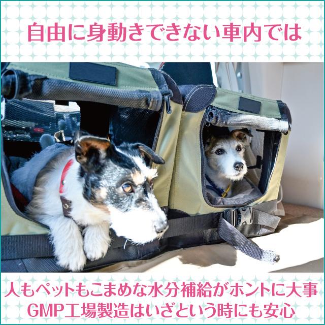 車載 保管可能 人用 5年 保存水 ペットと同伴 避難 車中泊 ドライブ