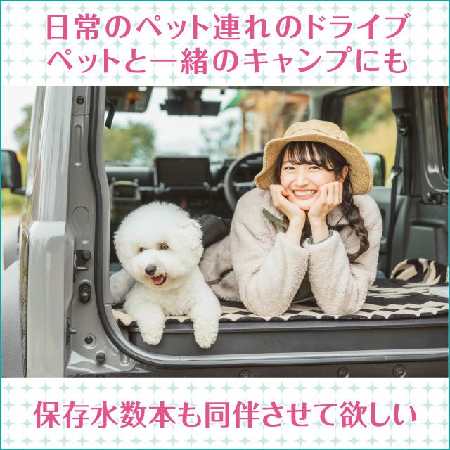 車載 保管可能 人用 5年 保存水 ペットと同伴 避難 車中泊 ドライブ