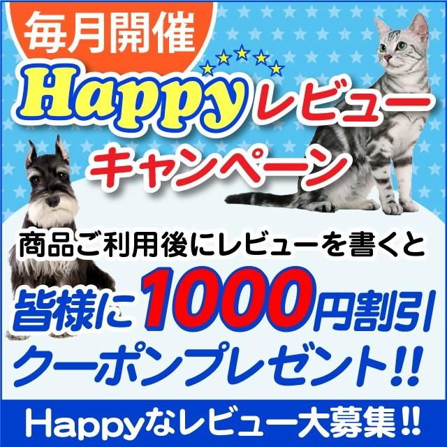 水素水 ペット 犬 猫 水 550ml 10本セット Ptl 10 ペットの水素水通販のアルケー 通販 Yahoo ショッピング