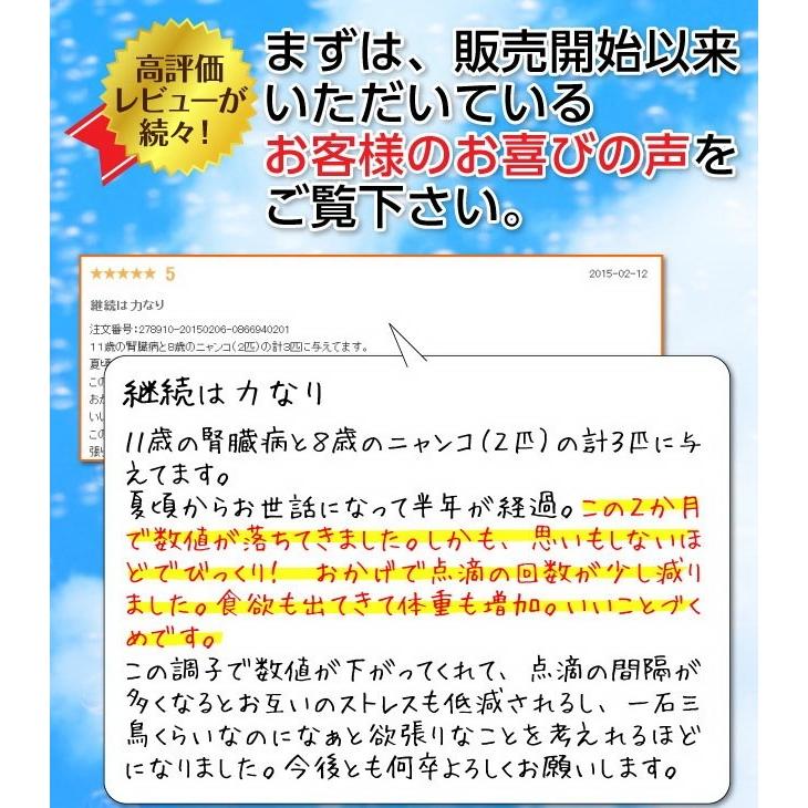 ペットの水素水 お試し商品 220mlサイズ 10本入 水素量1.4ppm 4日に分けてあげられる 犬 猫 ミネラルゼロ ペット用水素水｜arkhe｜14