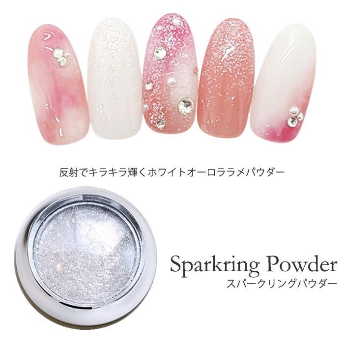 ネイル ラメパウダー、色々 大量 ネイル ラメパウダー、色々 大量 オーロラ ラメ パウダー ホワイト