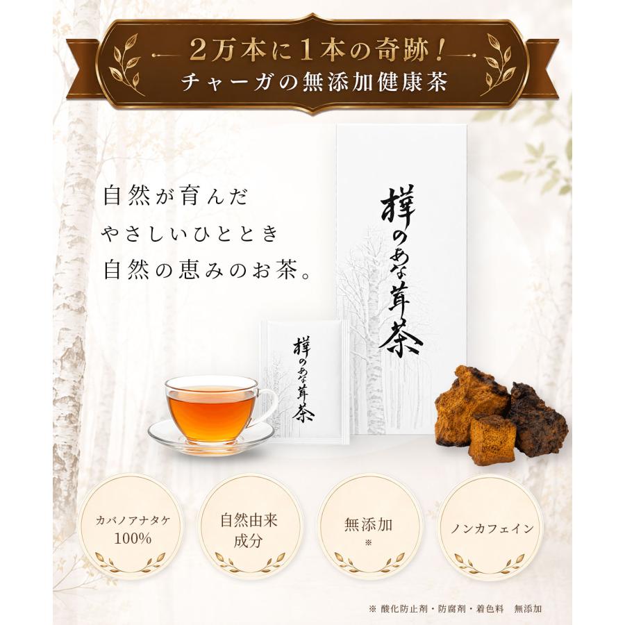 樺のあな茸茶　カバノアナタケ茶　30包入　1箱 正規代理店 樺のあな茸茶 1箱（1g×30包）ティーバックタイプ 天然