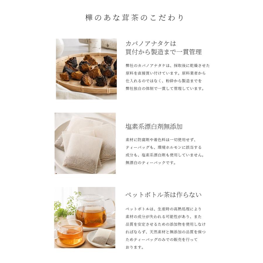 正規代理店 樺のあな茸茶 1箱（1g×30包）ティーバックタイプ 天然