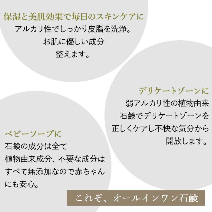 正規代理店【セット品】天恵石鹸 と 専用泡立てネット 80g 天恵