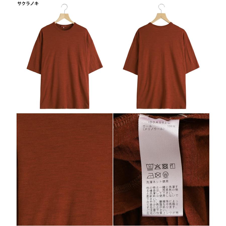 icebreaker（アイスブレーカー） ： U NATURE DYE SS TEE / 全2色