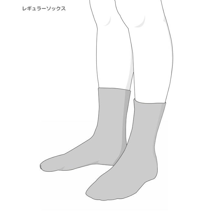 CORGI（コーギ） CORGI / コーギー ： 別注 Midium Plain Socks / 全5