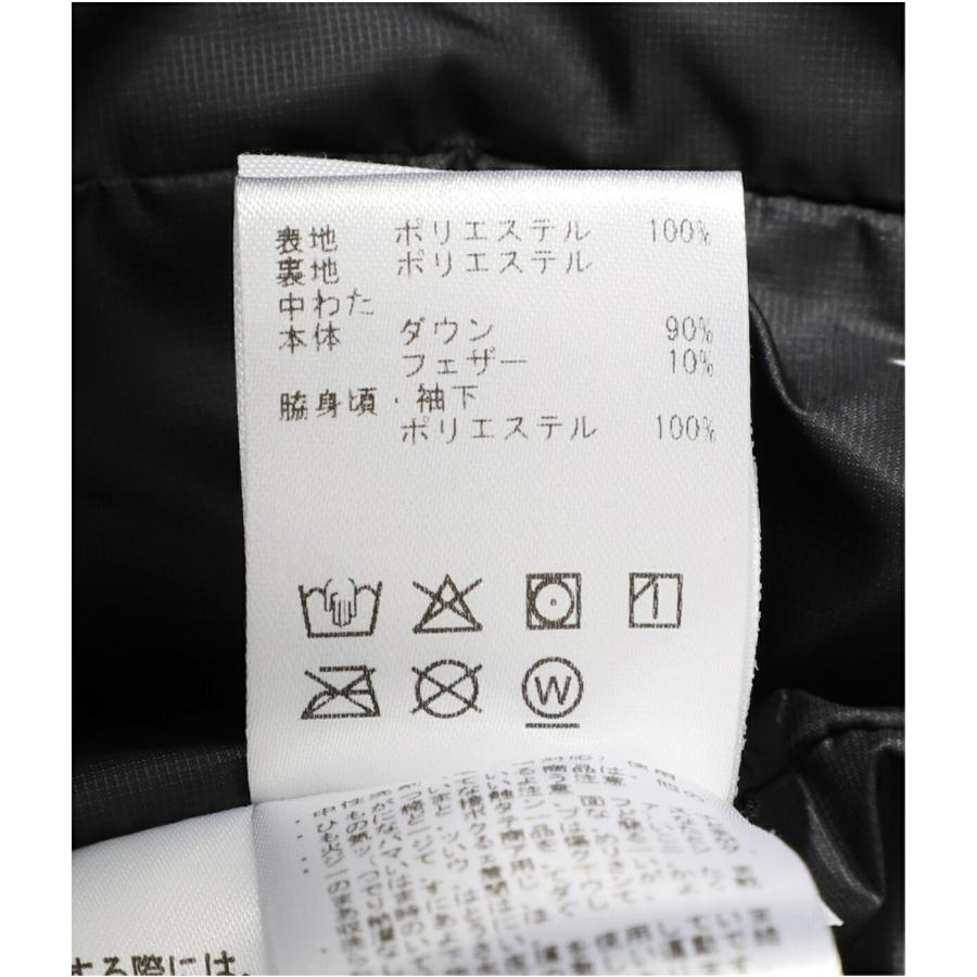 DESCENTE ALLTERRAIN（デサント オルテライン） (水沢ダウン) ： 別注