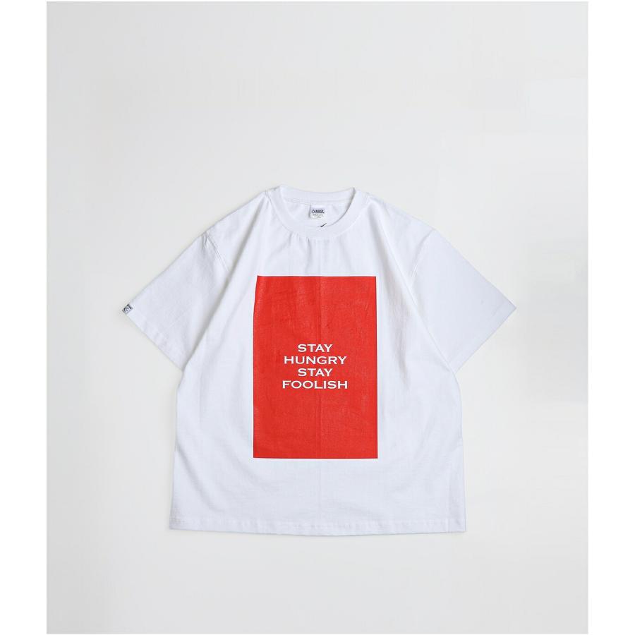 WP / ダブリューピー ： WG-S-BOX TEE / 全2色 ： WP17-TEE02 | WP