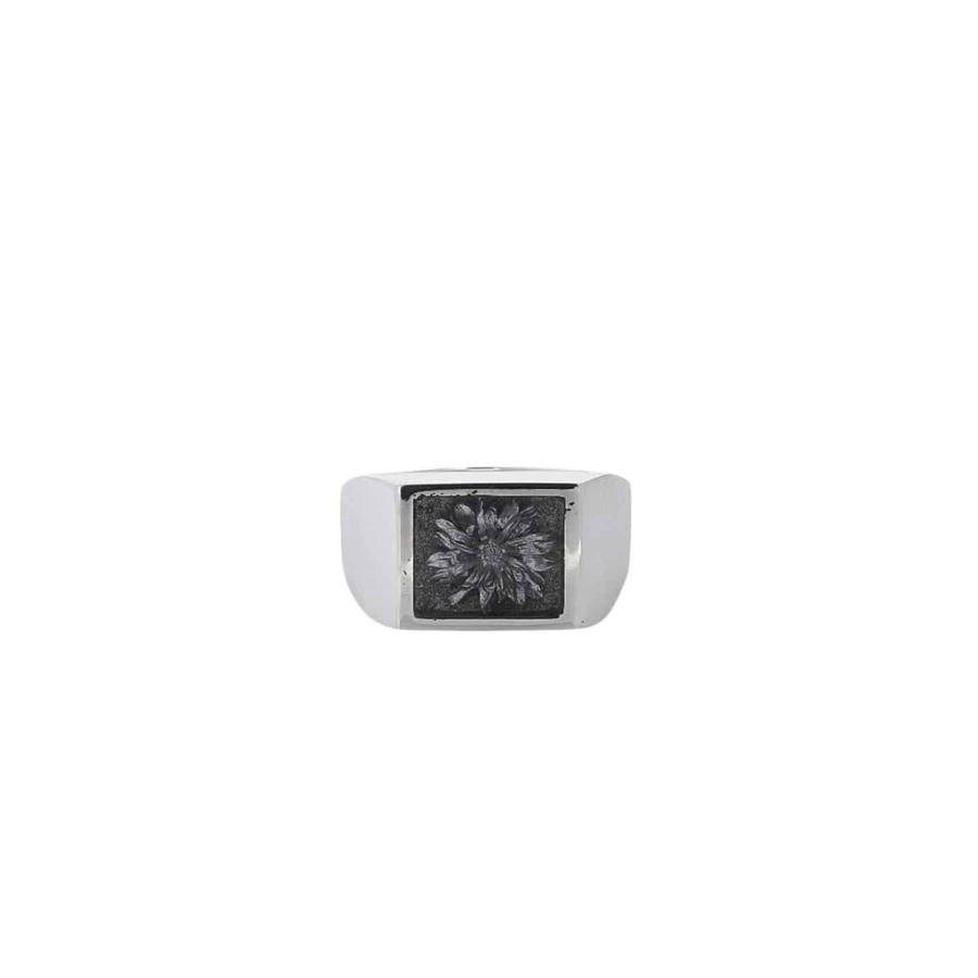XOLO XOLO JEWELRY / ショロ ジュエリー ： Signet Ring with Steel