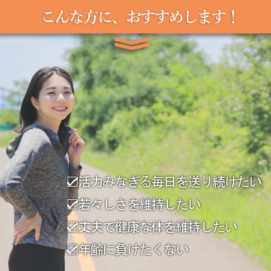 還元型コエンザイムQ10 カネカ サプリ 医師監修 サプリメント Dr.Formula 還元型 CoQ10 + 120mg 30日分 60粒 日本製