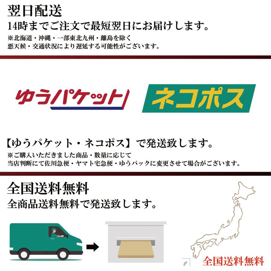 テセウス 半袖 Tシャツ 同色２枚セット 丸首 スポーツ ブランド シャツ アウトドア 夏 半袖tシャツ スポーツ インナー クルーネック THESEUS | THESEUS | 09