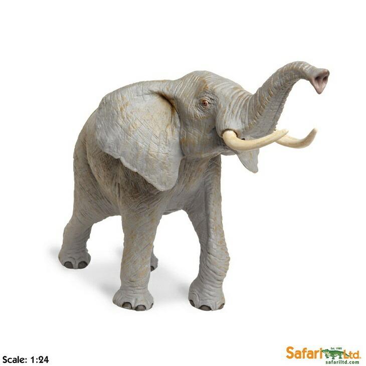 咆哮　アフリカ　ぞうs 順次カラーチェンジ対象 safari (サファリ)アフリカゾウWW 111089