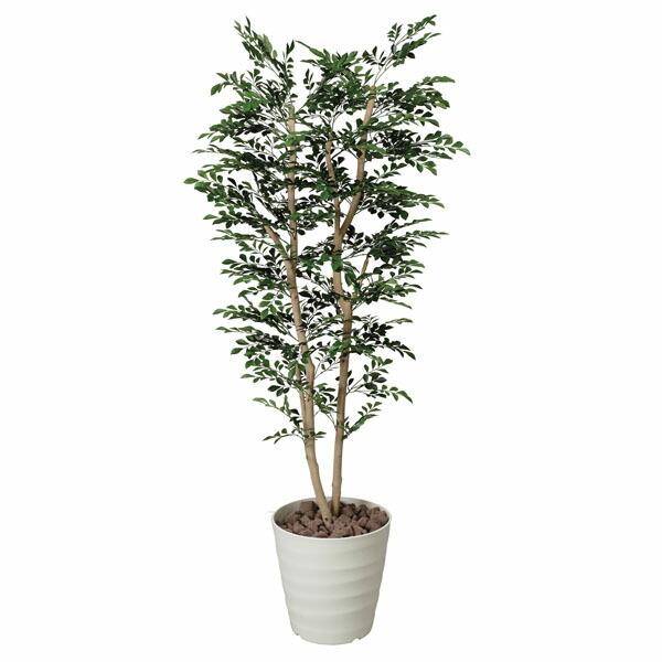 流行に 光触媒 観葉植物 人工観葉植物 インテリア 造花 トネリコ 高さ180cm 光触媒観葉植物 フェイクグリーン 消臭 抗菌 防汚 楽天1位 Jeannesauve Org