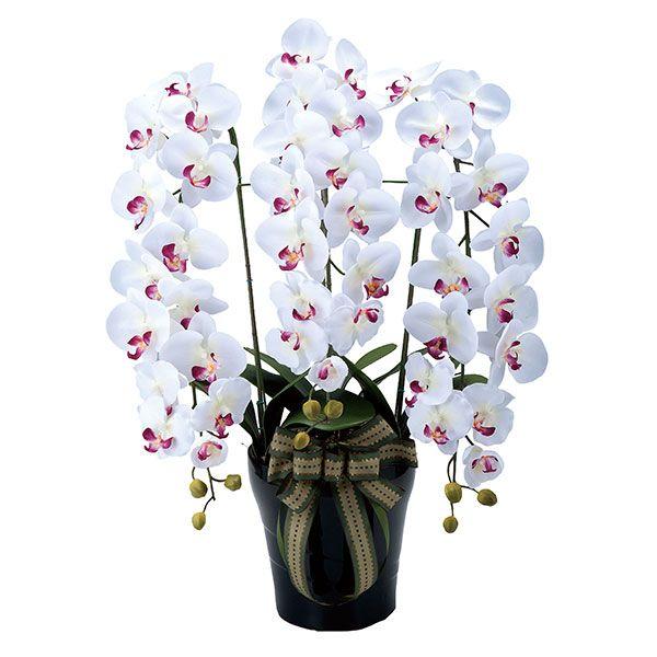 手数料安い 胡蝶蘭 造花 ロイヤル胡蝶蘭w Ab 光触媒 観葉植物 インテリア 人気 おしゃれ 造花 アートフラワー ギフト 花 プレゼント 0119a 収納家具通販 アーネ 通販 Yahoo ショッピング Seal限定商品 M Mahdi Net