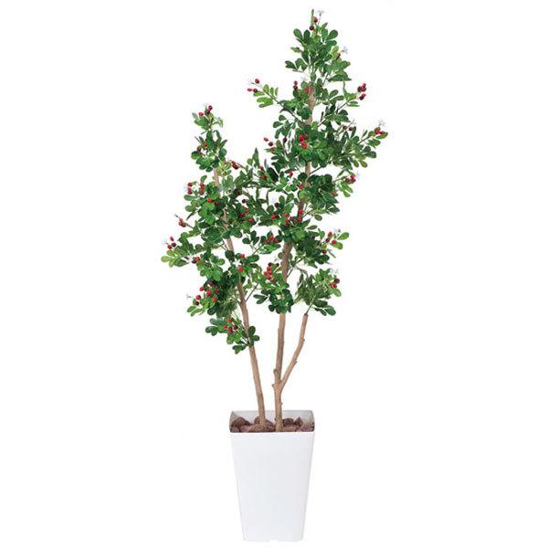 光触媒 観葉植物 人工観葉植物 イミテーショングリーン 人工植物  消臭 防菌 防汚 ホルムアルデヒド 分解 ハックルベリー 1.25