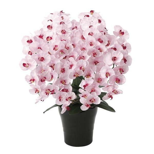 全商品オープニング価格特別価格 光触媒 胡蝶蘭 コチョウラン 人工観葉植物 ピンク 造花 インテリア プレミアム胡蝶蘭7本立p 受賞店舗 Www Tiebreak Fr