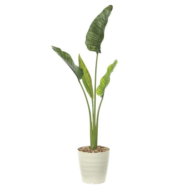 代引不可 人工観葉植物 観葉植物 屋外対応 フェイクグリーン インテリア 屋外庭園 植栽 人工植物 高さ160cm オーガスタ 送料無料 Bangla Campusplanet Net