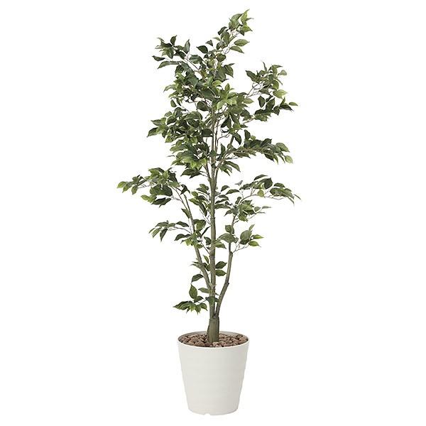 最安値 光触媒 観葉植物 植物 人工観葉植物 インテリア おしゃれ グリーン フィカスツリー 高さ180cm 0119a ソファ家具通販 Arne Style 通販 Yahoo ショッピング 激安単価で Nydp Ng