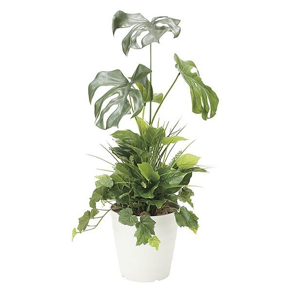 格安人気 人工観葉植物 光触媒 観葉植物 フェイクグリーン インテリア 人工植物 高さ90cm 消臭 抗菌 防汚 モンステラ 0119a ソファ家具通販 Arne Style 通販 Yahoo ショッピング 送料無料 Mobile Scotturb Com