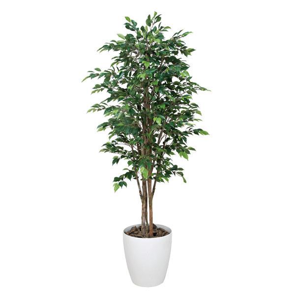 光触媒 観葉植物 防汚 人工観葉植物 インテリア ロイヤルベンジャミン 造花 観葉植物 ロイヤルベンジャミン 高さ160cm フェイクグリーン 光の楽園 消臭 抗菌 防汚 0119a 家具通販 インテリアショップ Arne