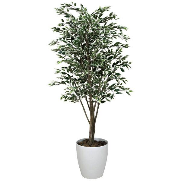 光触媒 花 ガーデニング 観葉植物 人工観葉植物 消臭 ベンジャミンツリー斑入り 高さ180cm 光触媒観葉植物 フェイクグリーン 高さ180cm 消臭 抗菌 防汚 0119a 家具通販 インテリアショップ Arne