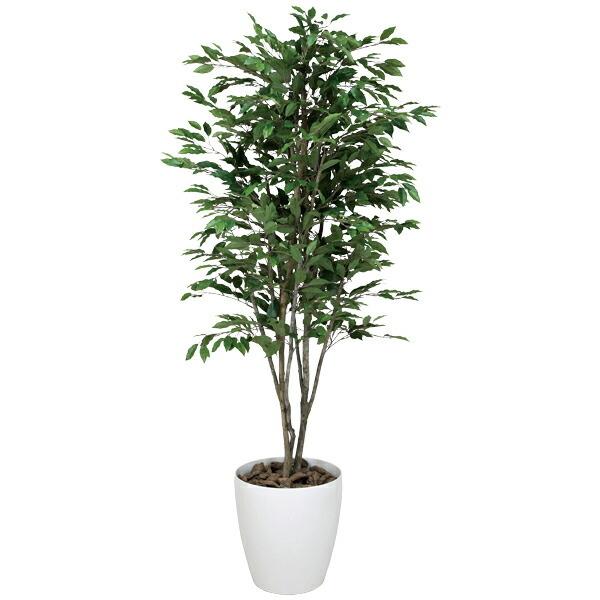 光触媒 高さ180cm 観葉植物 高さ180cm 消臭 光触媒観葉植物 室内 大型