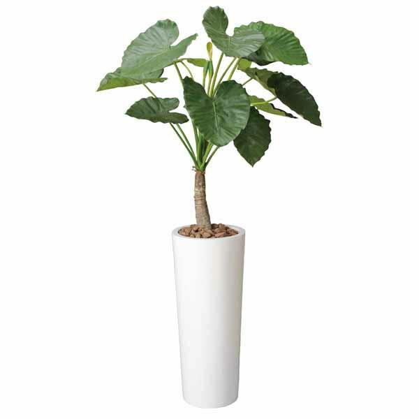 光触媒 観葉植物 人工観葉植物 アートくわず芋 高さ180cm 光触媒観葉植物 フロアタイプ ハイサイズ フェイクグリーン アートグリーン