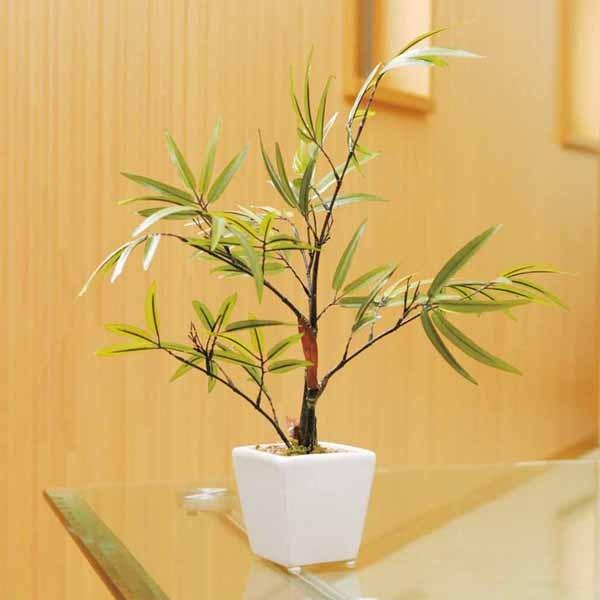 光触媒 観葉植物 人工観葉植物 黒竹 高さ35cm テーブルタイプ フェイク