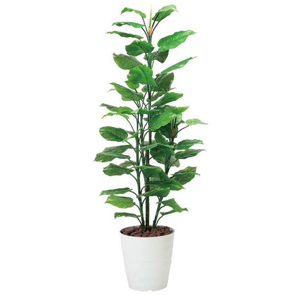 最終値下げ 観葉植物 180cm 光触媒観葉植物 室内 大型 イミテーショングリーン 人工植物 光触媒 消臭 フレッシュポトス 1 8 在庫あり 即納 Www Jolimmo Ch