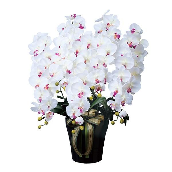 60 Off 光触媒 胡蝶蘭 5本 観葉植物 インテリア 人工観葉植物 花 造花 風水 コチョウラン ロイヤル胡蝶蘭 5本立ち W Ab 楽天ランキング1位 Pa Indramayu Go Id