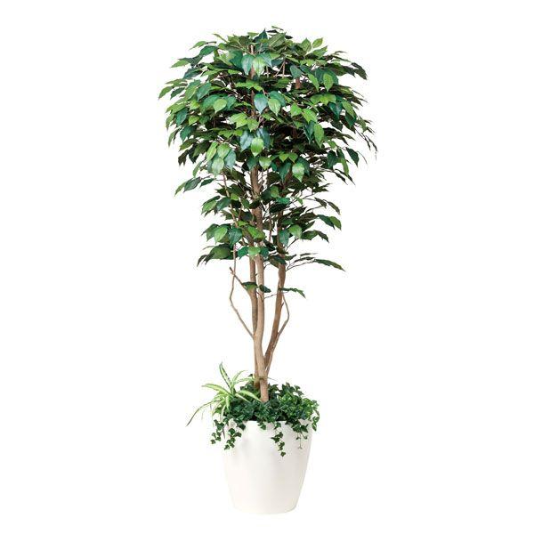観葉植物 光触媒 造花 アートグリーン フィカスベンジャミン植栽付 高さ180cm 光触媒観葉植物