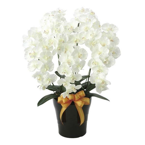 光触媒 胡蝶蘭 5本 コチョウラン 人工観葉植物 ホワイト 白 造花 インテリア プレミアム胡蝶蘭5本立W