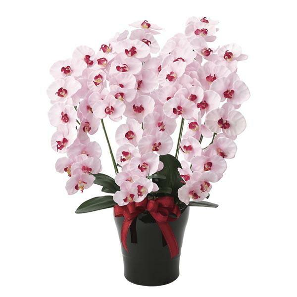 光触媒 コチョウラン 胡蝶蘭 人工観葉植物 ピンク 造花 5本 プレミアム胡蝶蘭5本立p 造花 アートフラワー コチョウラン インテリア